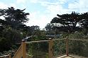 Carmel 10-30-08 039